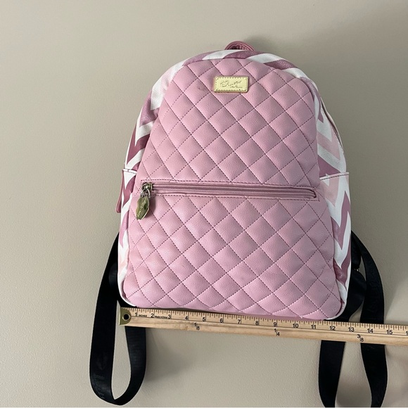 Betsey Johnson Pink Chevron Backpack - Picture 9 of 16
